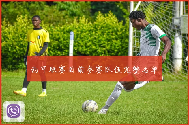 西甲联赛目前参赛队伍完整名单