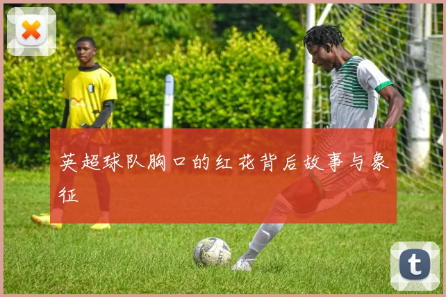 英超球队胸口的红花背后故事与象征